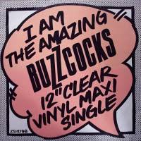 Buzzcocks : I Am the Amazing Buzzcoks